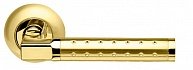 Ручка раздельная ARMADILLO Eridan LD37-1SG/GP-4 матовое золото/золото  в производственной компании Дверной Мир