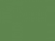 RAL-6017 Майский зеленый