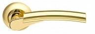 Ручка раздельная ARMADILLO Vega LD21-1SG/GP-4 матовое золото/золото  в производственной компании Дверной Мир