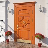 Двери в дом / коттедж