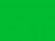 RAL-6038* Люминесцентный зеленый