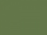 RAL-6025 Папоротниковый зеленый