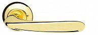 Ручка раздельная ARMADILLO Pava LD42-1GP/SG-5 золото/матовое золото  в производственной компании Дверной Мир