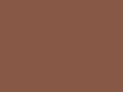 RAL-8003 Глиняный коричневый